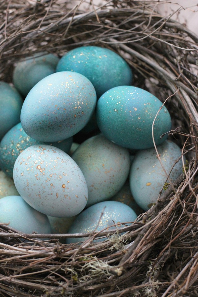 dyed robins eggs
