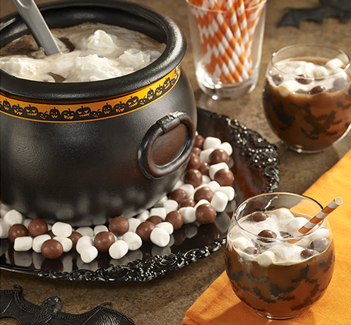 cauldron full of chocolate goodness surrounded by chocolate chips and mini marshmallows