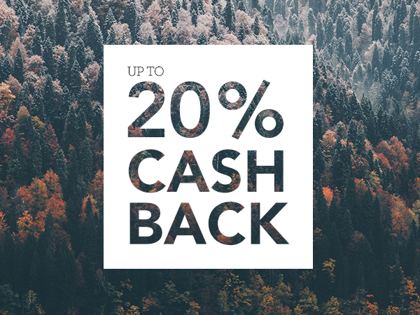 a snowy forest with the text "up to 20% cash back" overlaid