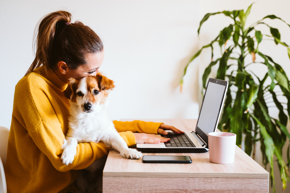 Woman with dog saving money by using the ibotta browser extension